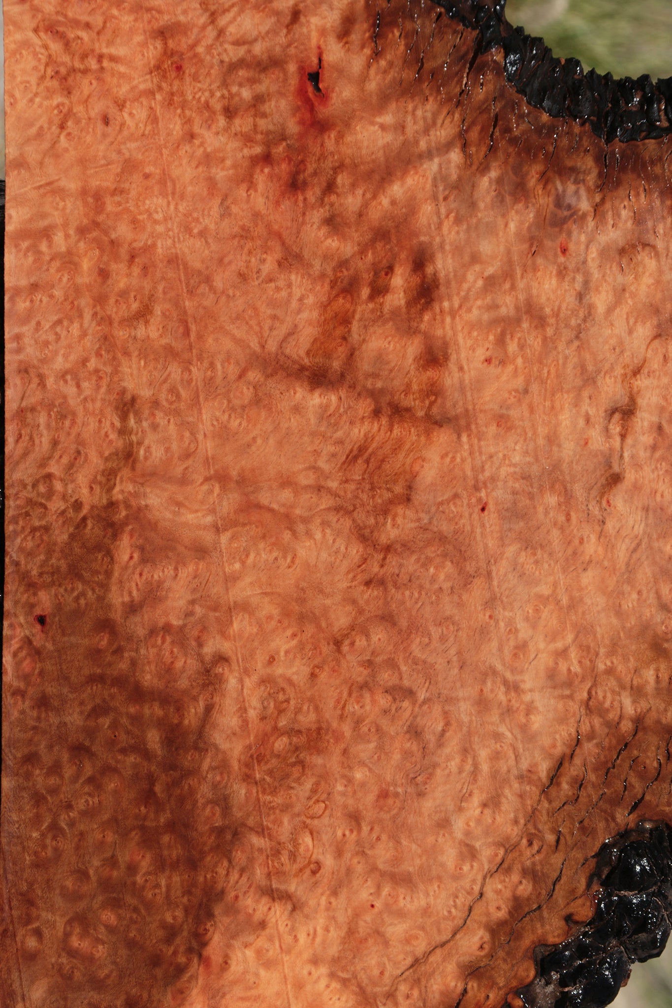 Madrone Burl Live Edge Lumber