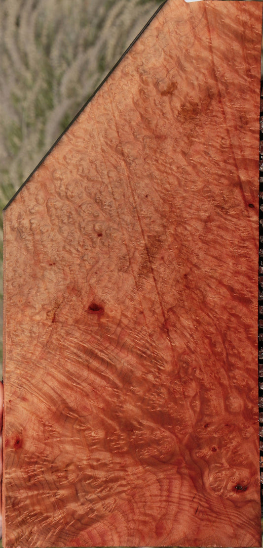 Madrone Burl Lumber