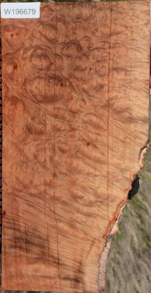 Madrone Burl Lumber