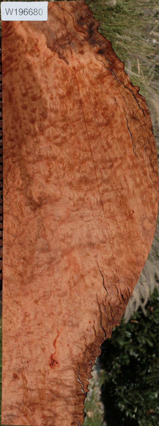 Rustic Madrone Burl Live Edge Lumber