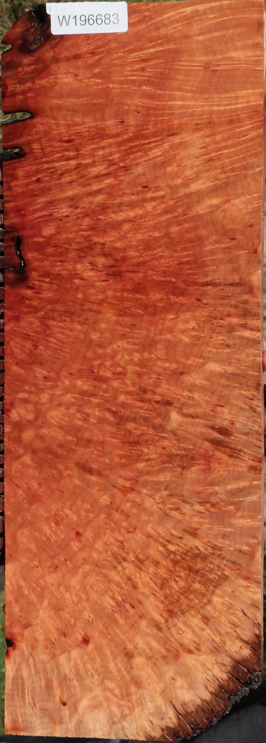 Madrone Burl Lumber
