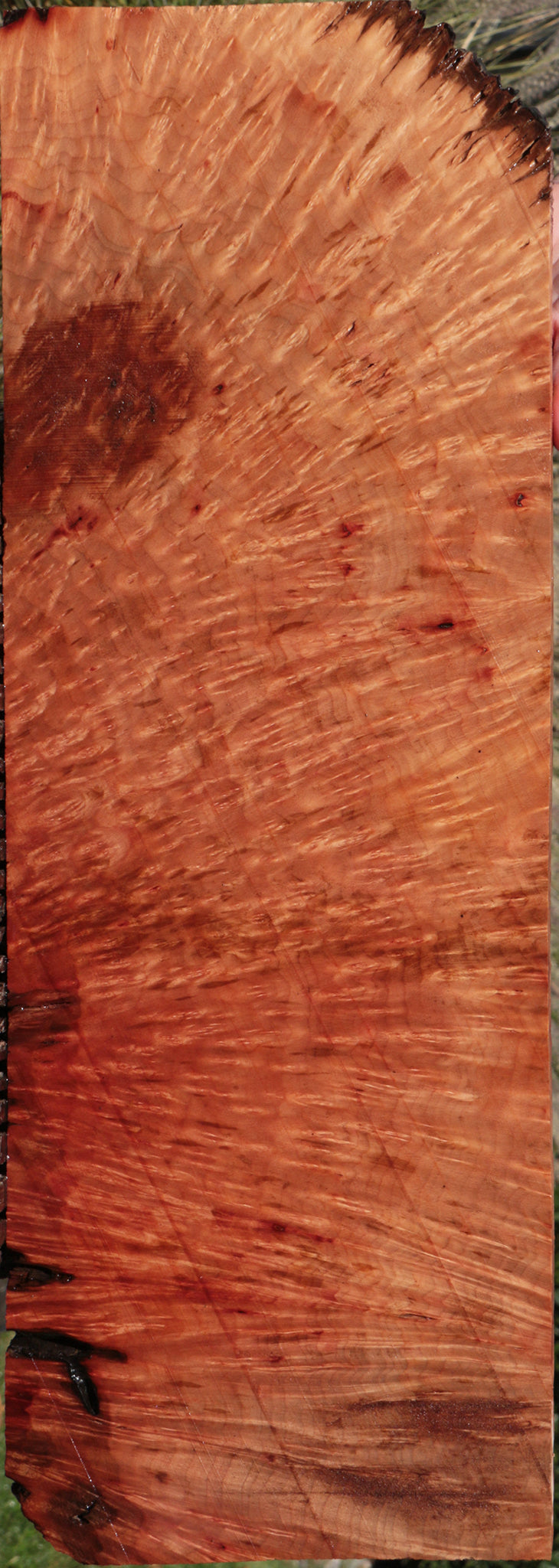 Madrone Burl Lumber