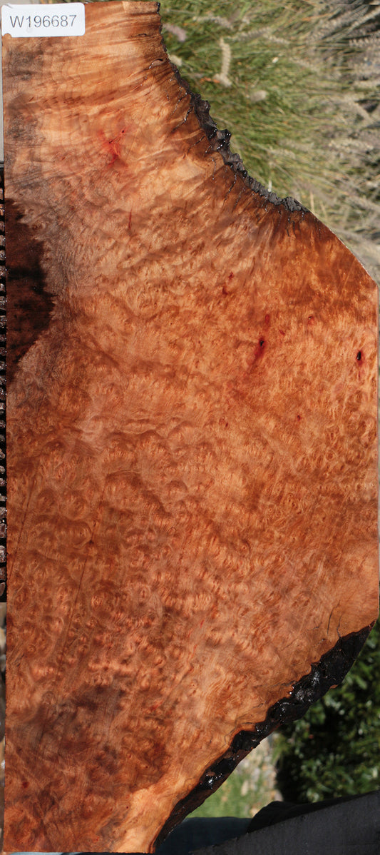 Madrone Burl Lumber