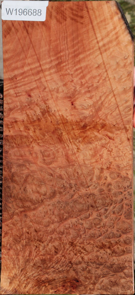 Madrone Burl Lumber