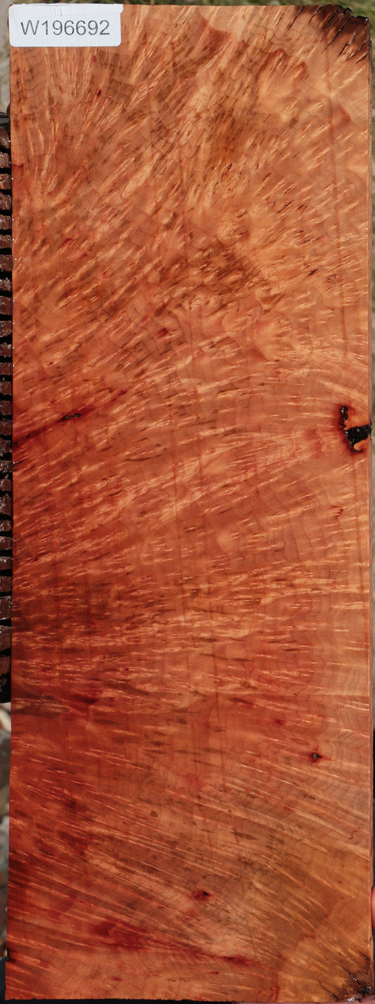Madrone Burl Lumber