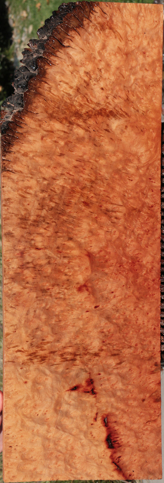 Madrone Burl Lumber