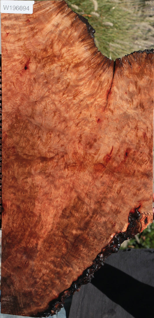 Madrone Burl Live Edge Lumber