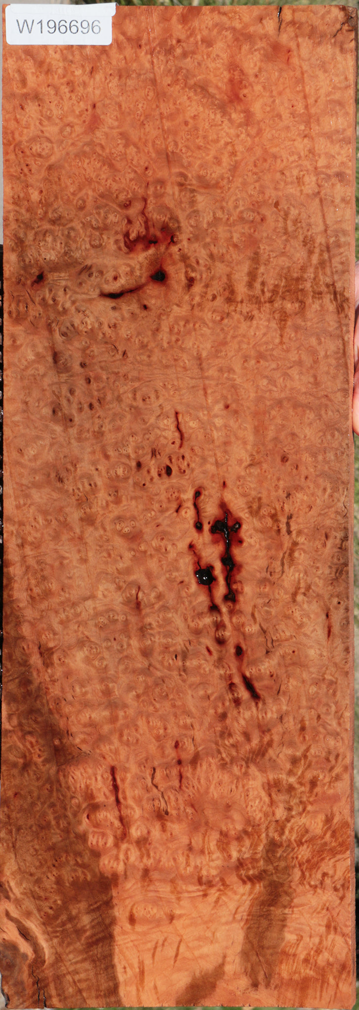 Madrone Burl Lumber