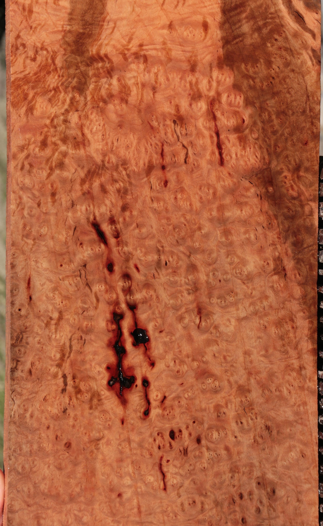 Madrone Burl Lumber