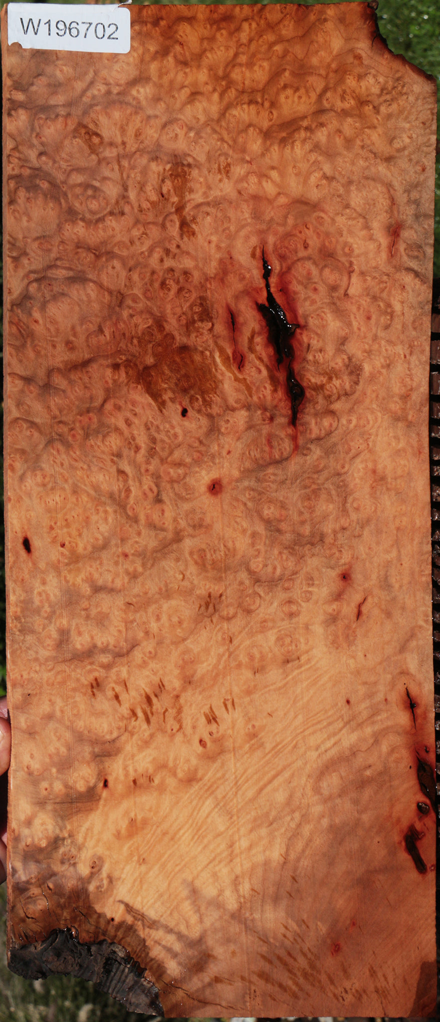 Rustic Madrone Burl Lumber