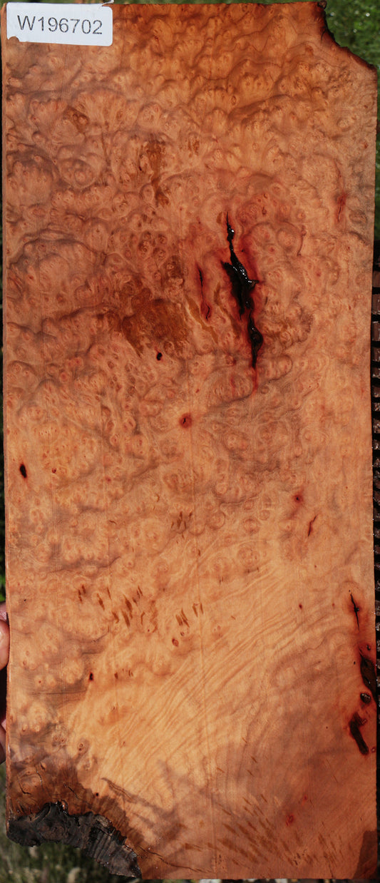 Rustic Madrone Burl Lumber