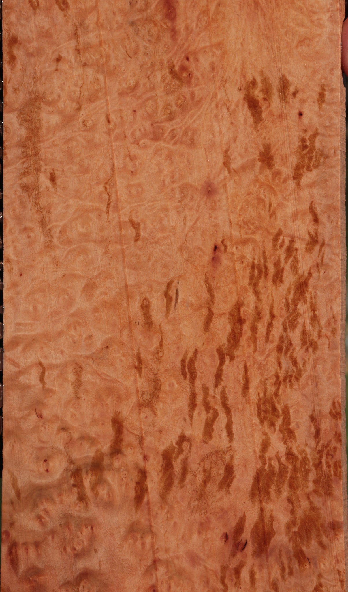 Madrone Burl Lumber