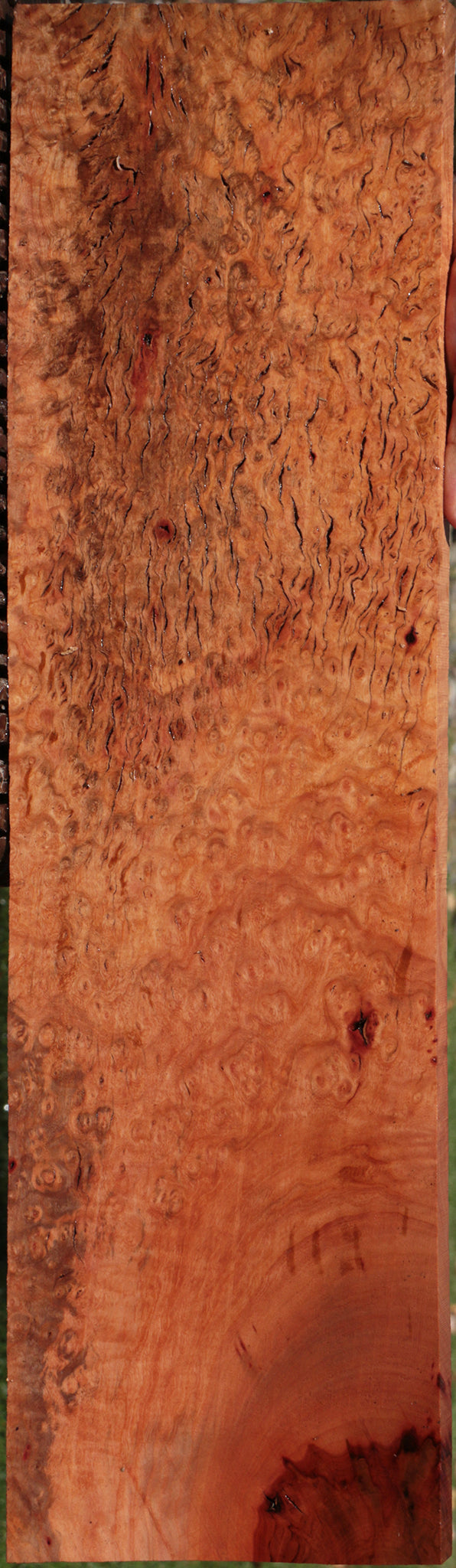 Madrone Burl Lumber