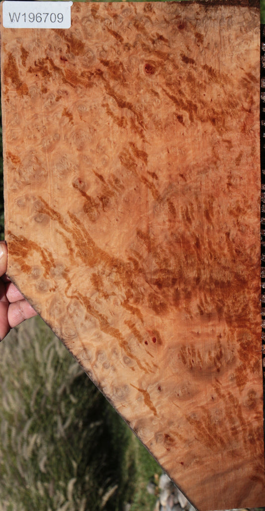 Madrone Burl Lumber
