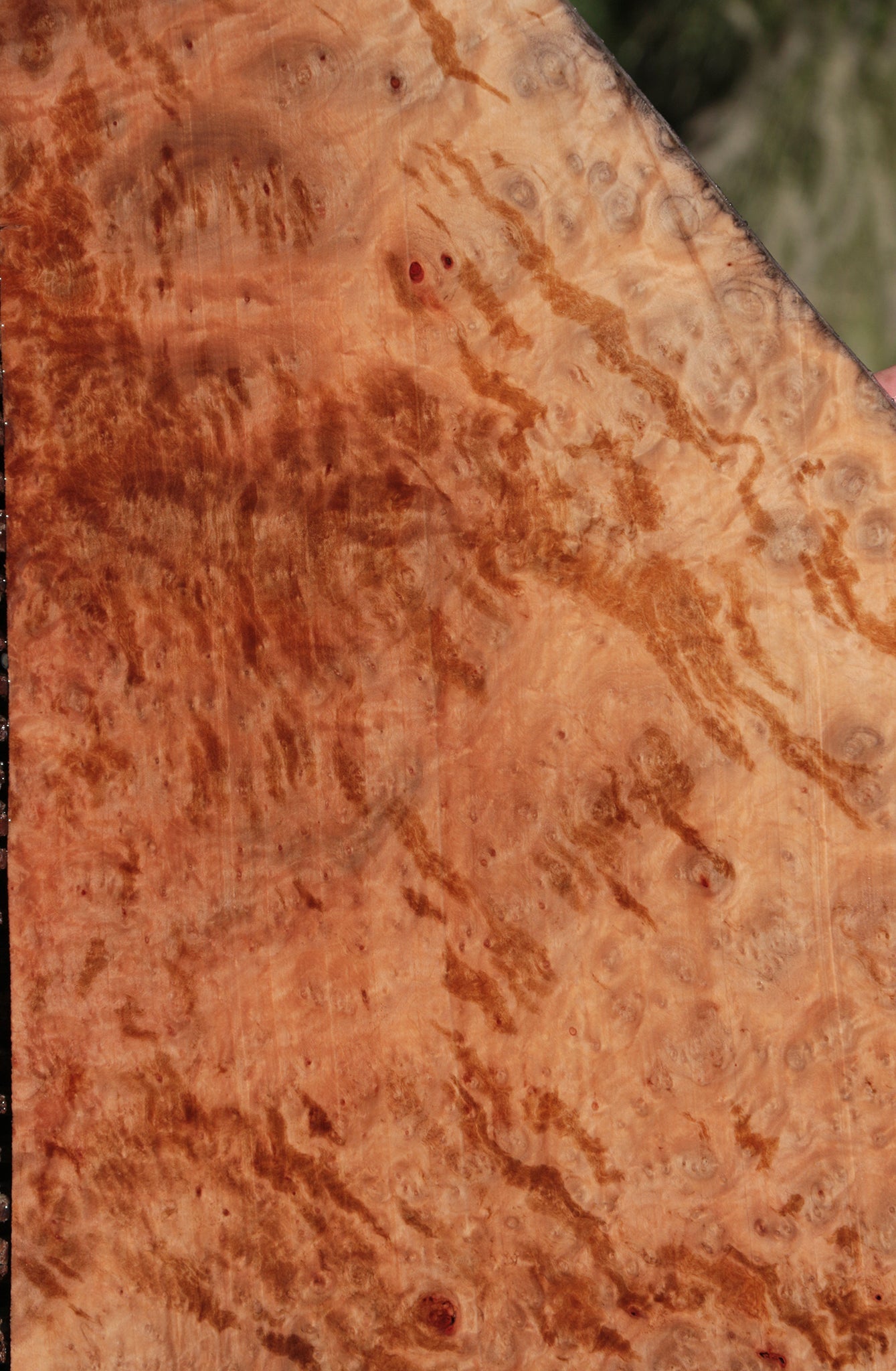 Madrone Burl Lumber