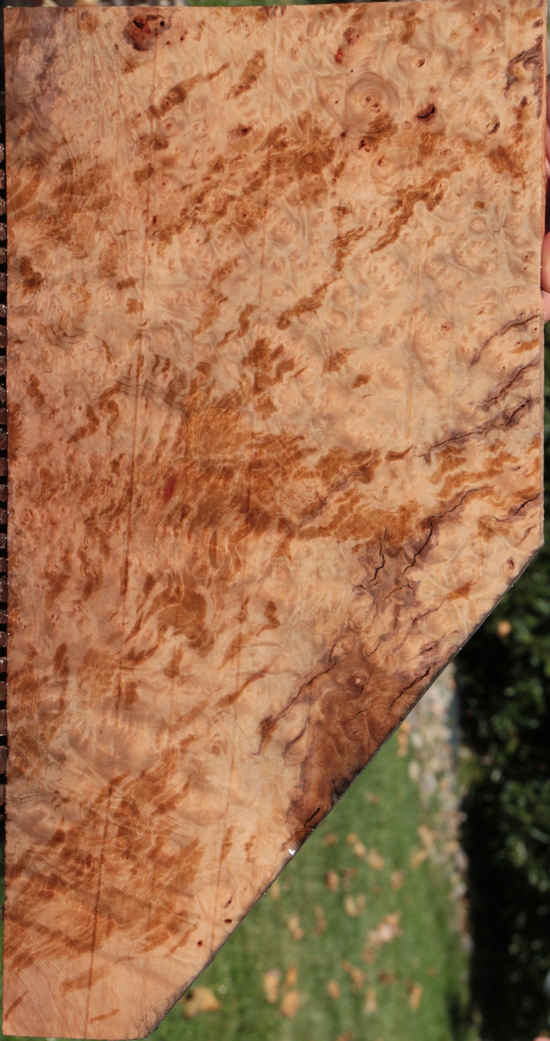 Madrone Burl Lumber