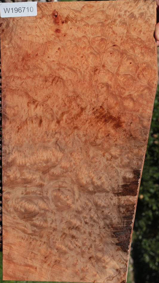 Madrone Burl Lumber