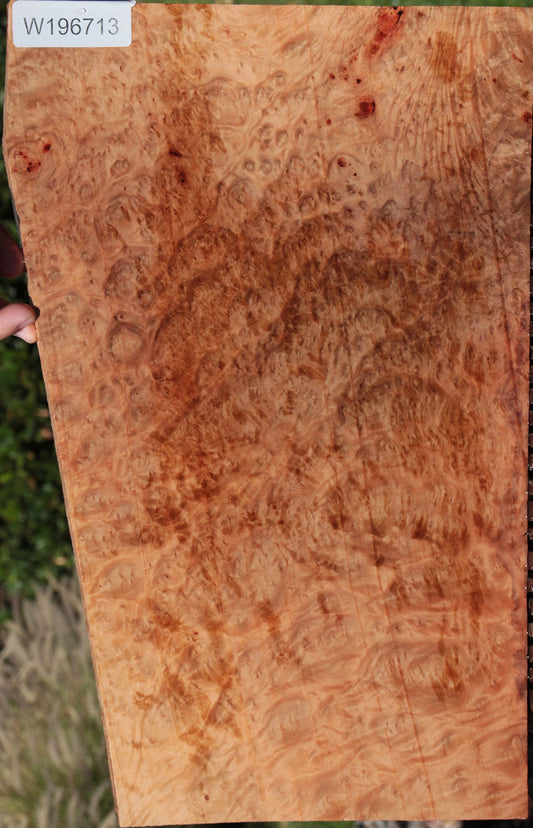 Madrone Burl Lumber