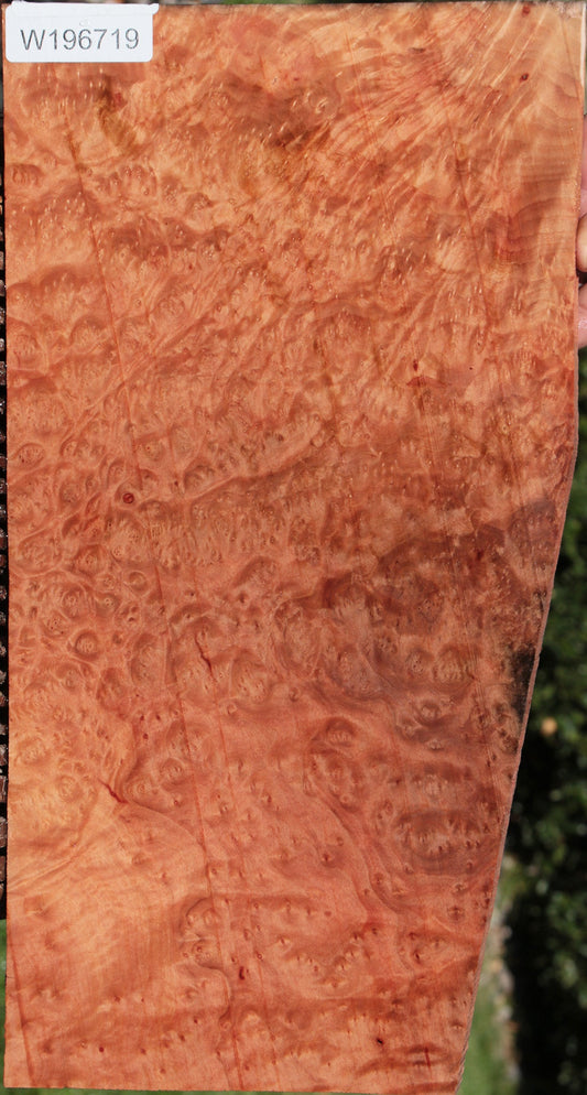 Madrone Burl Lumber