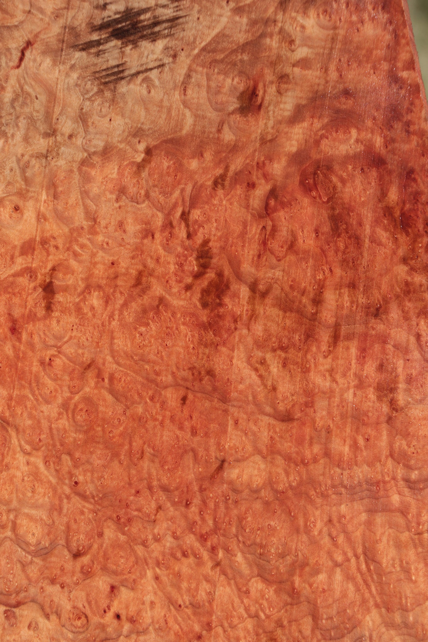 Madrone Burl Lumber