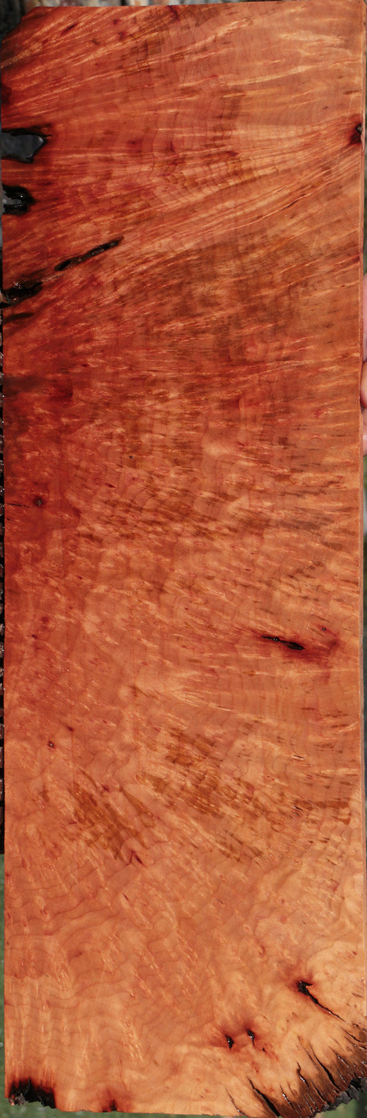 Madrone Burl Lumber