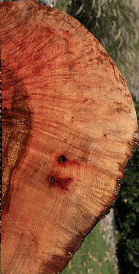 Madrone Burl Live Edge Lumber