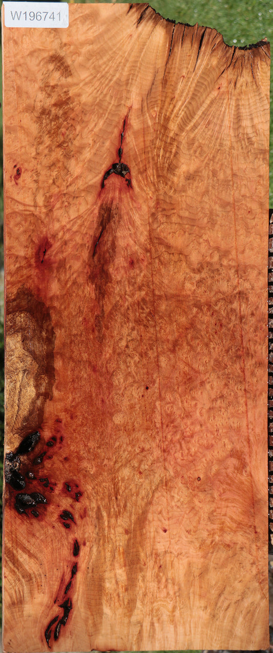 Madrone Burl Lumber