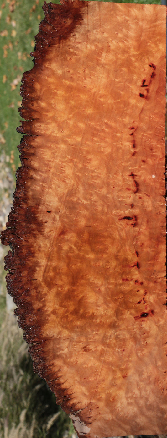 Madrone Burl Live Edge Lumber