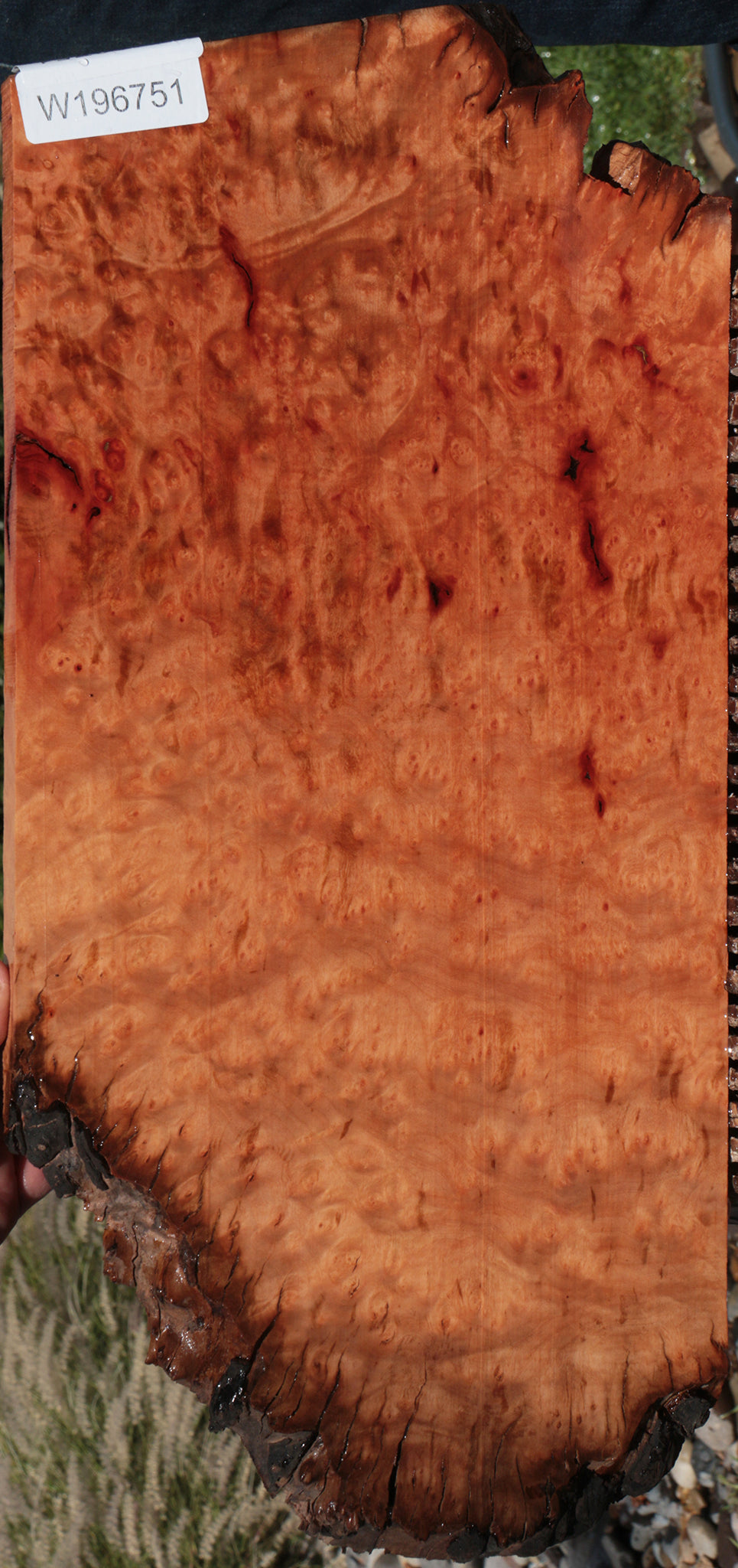Madrone Burl Live Edge Lumber