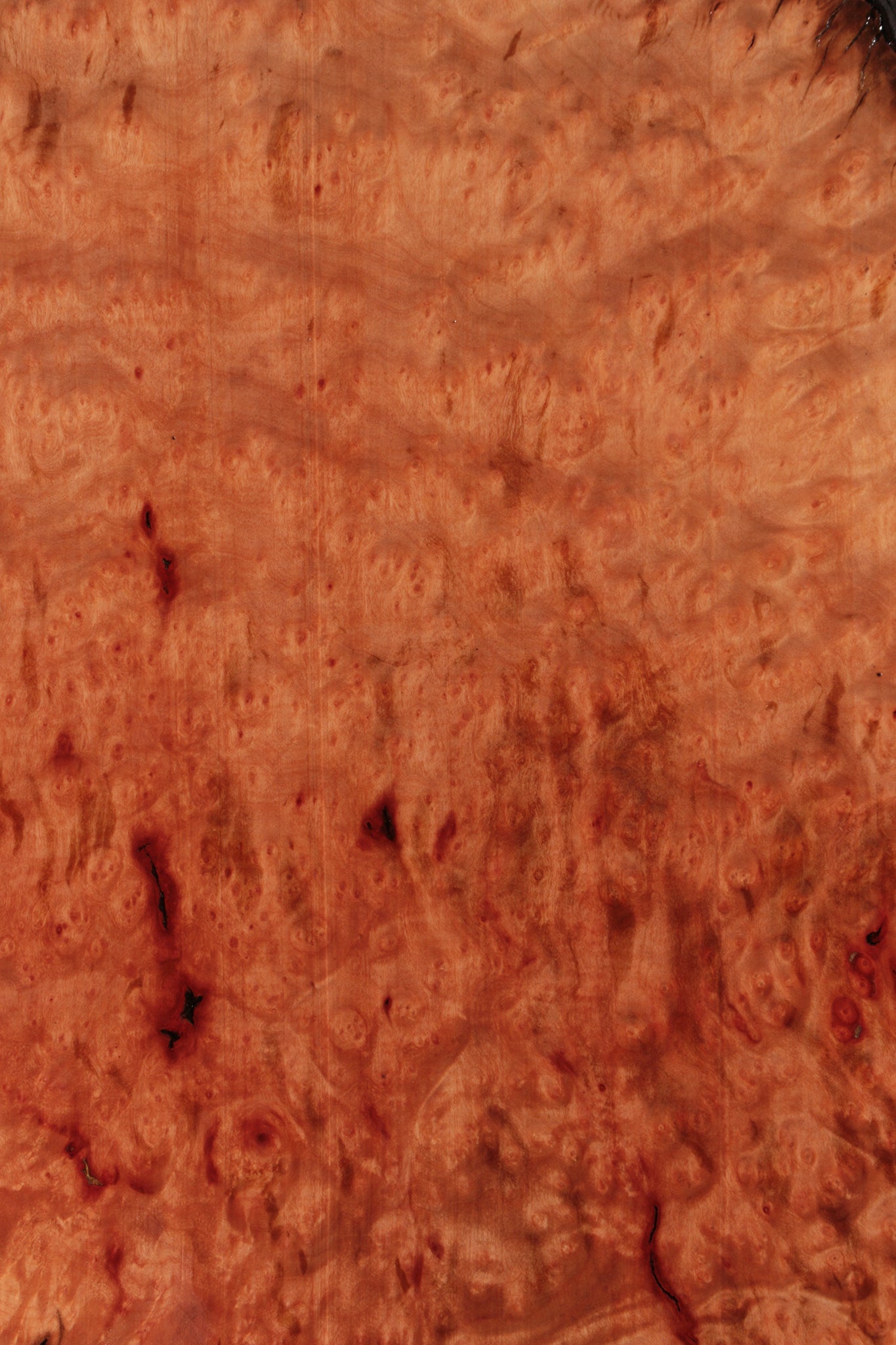 Madrone Burl Live Edge Lumber