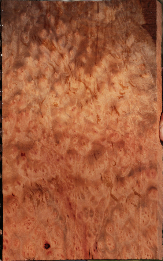 Madrone Burl Lumber