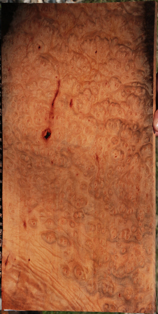 Madrone Burl Lumber