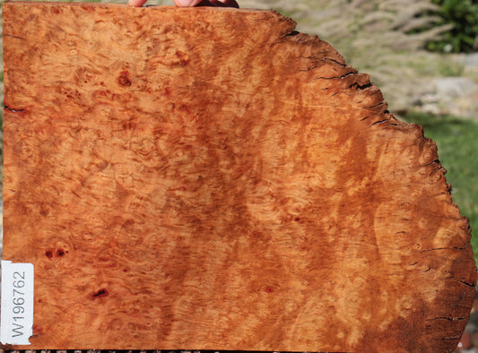 Madrone Burl Live Edge Lumber