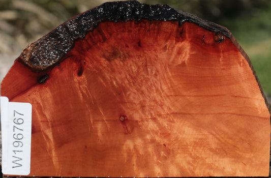 Madrone Burl Live Edge Lumber