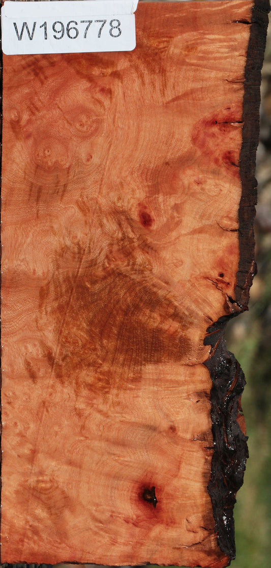 Madrone Burl Live Edge Lumber