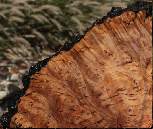 Rustic Madrone Burl Live Edge Lumber