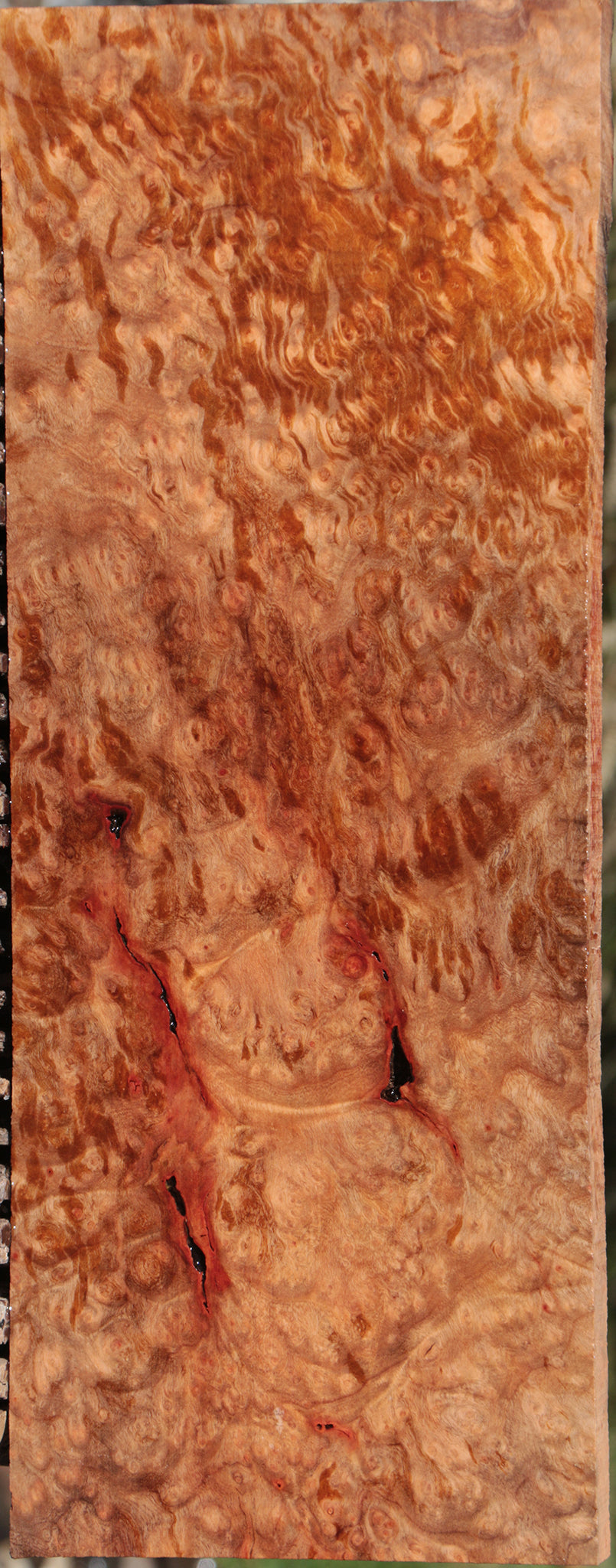 Madrone Burl Lumber