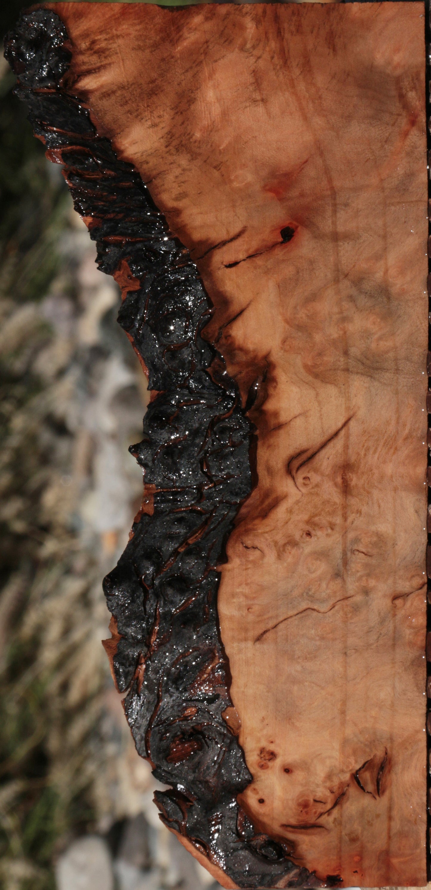 Extra Fancy Madrone Burl Live Edge Lumber