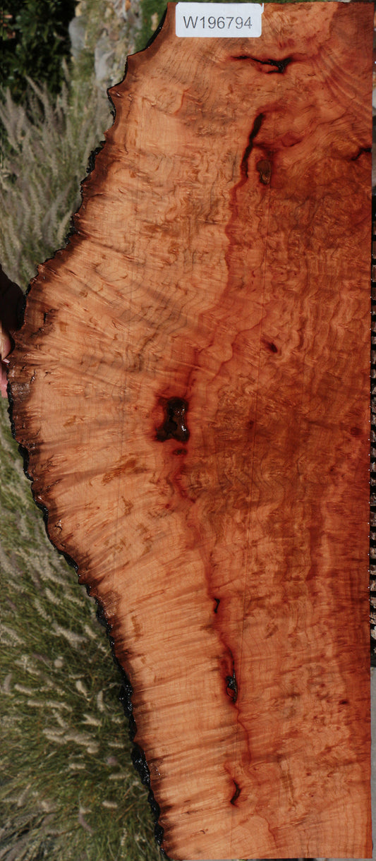 Rustic Madrone Burl Live Edge Lumber