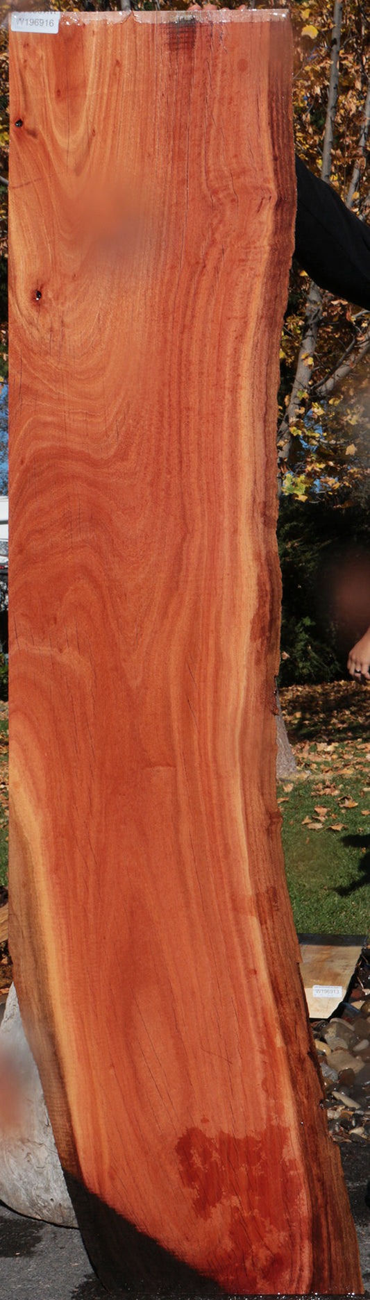 Red Ironbark Live Edge Lumber