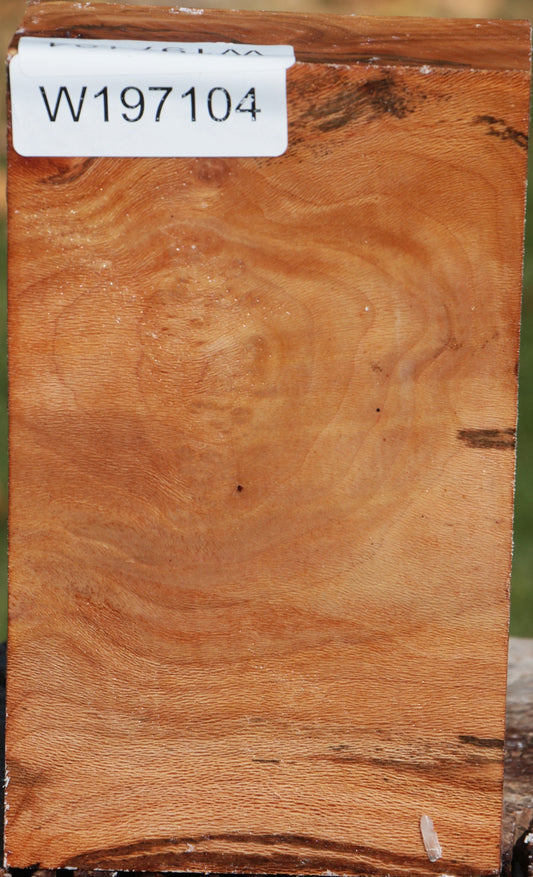 Sycamore Turning Blank