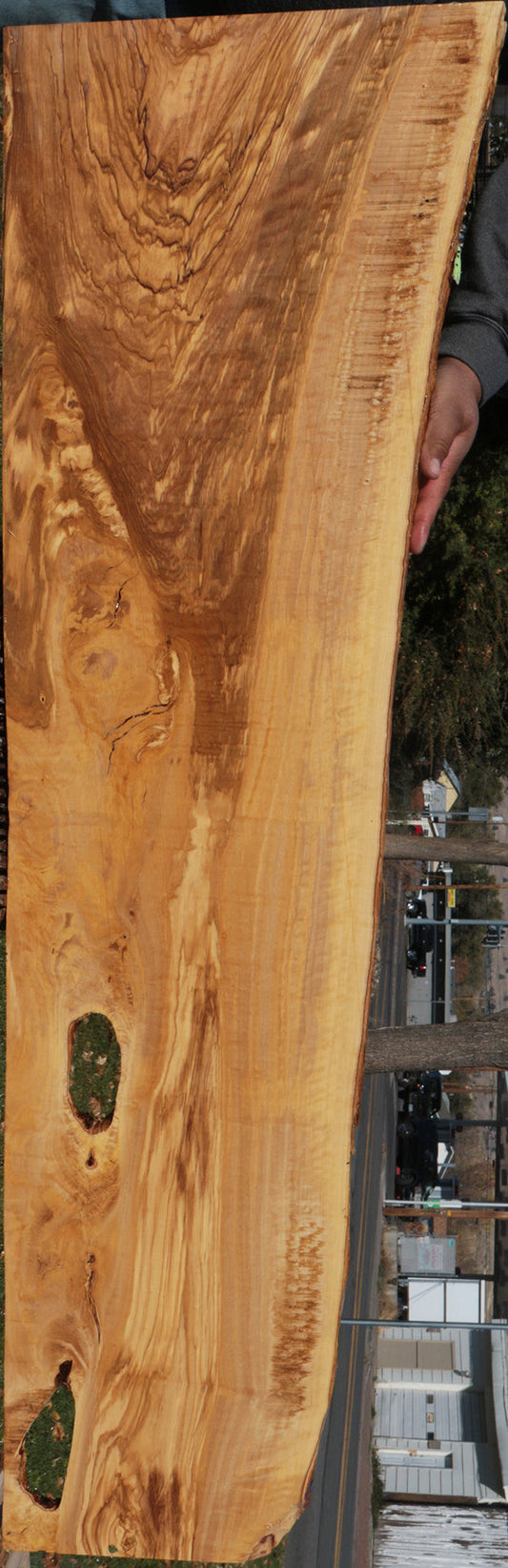 Extra Fancy Italian Olive Live Edge Lumber