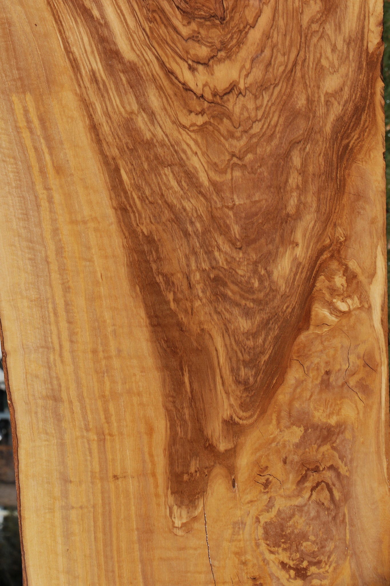 Extra Fancy Italian Olive Live Edge Lumber