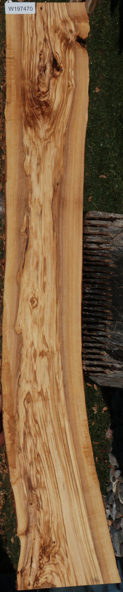 Italian Olive Live Edge Lumber