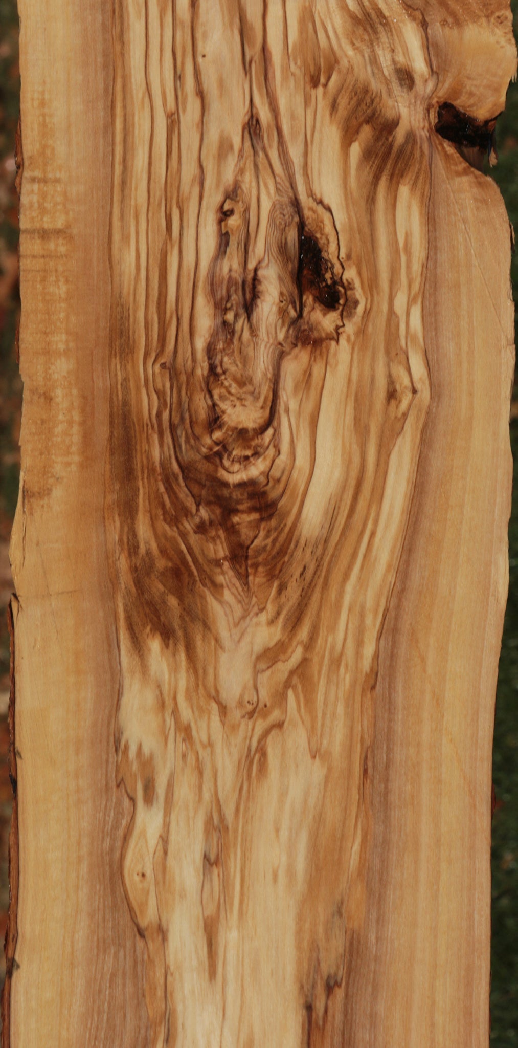 Italian Olive Live Edge Lumber