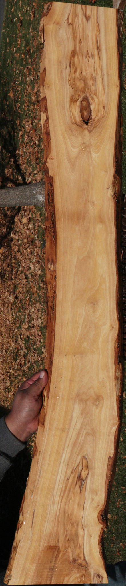 Italian Olive Live Edge Lumber