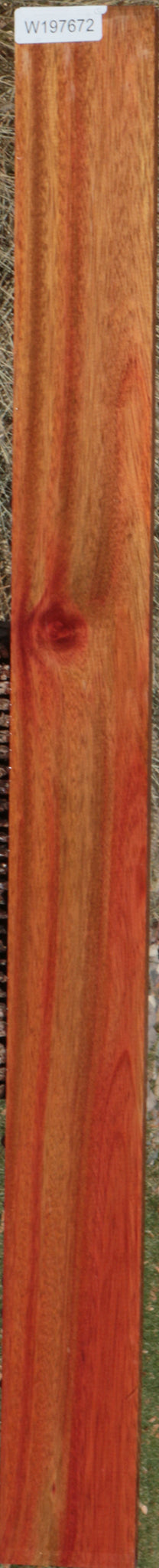 Bloodwood Lumber