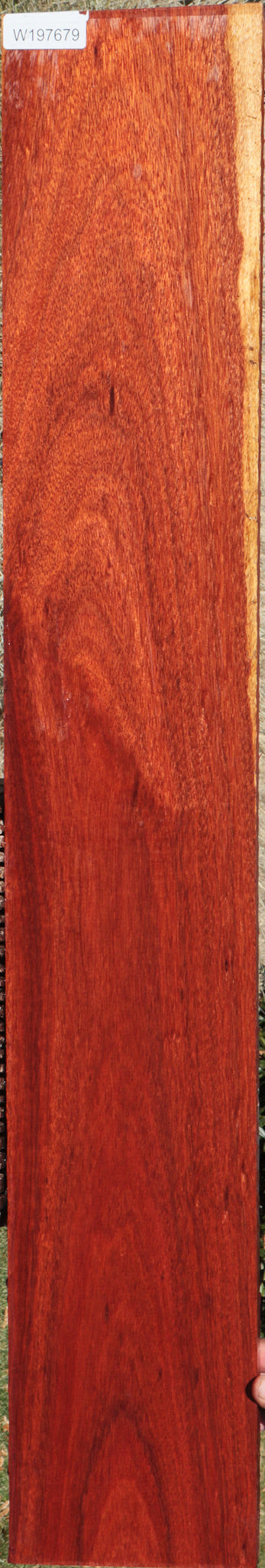 Bloodwood Lumber