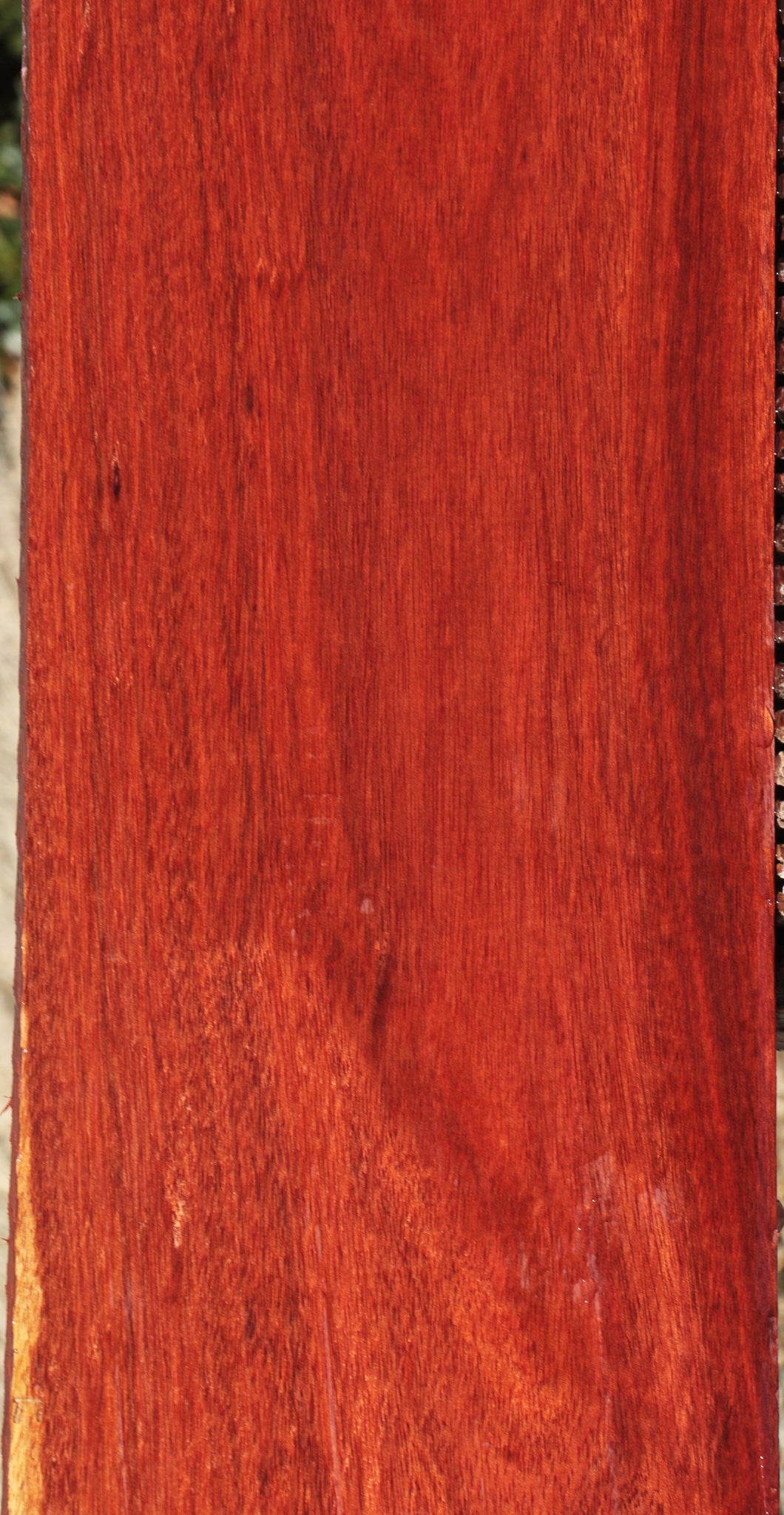 Bloodwood Lumber