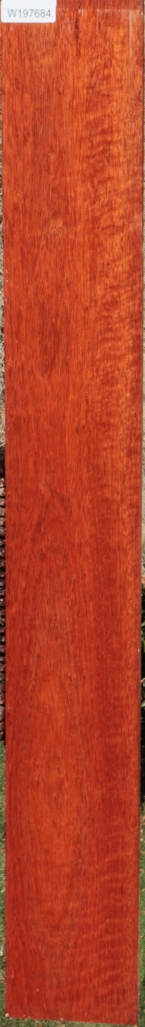 Bloodwood Lumber